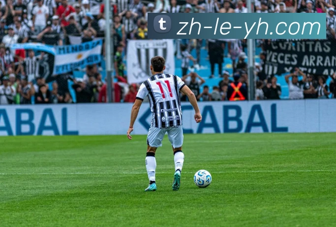 App Interface Preview